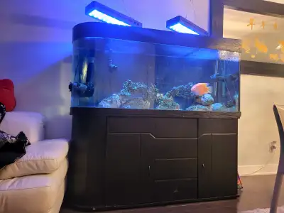 Aquarium sale, View more