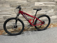 Specialized mountain bike 