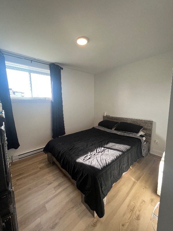 APPARTEMENT 3 1/2 à louer GROS CHIENS ACCEPTÉS !! Locations longue