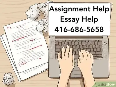 Trusted Assignment Help for College & University Students, Essay, View more