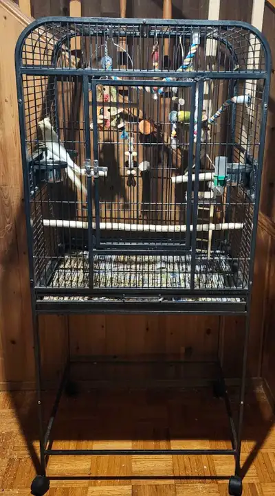 bird cage for sale , View more