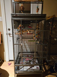 Parrot cages 