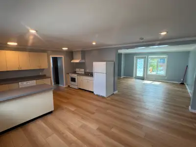 Newly renovated, bright, and well insulated suite in downtown Whitehorse. Rent comes with one dedica...