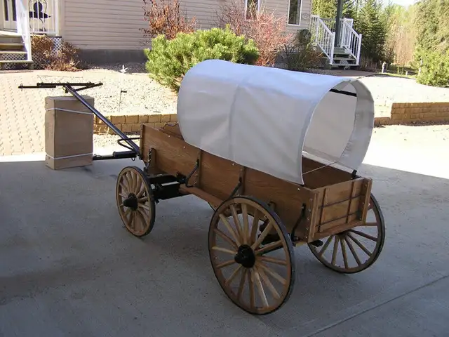 mini chuckwagon in Livestock in Edmonton - Image 5