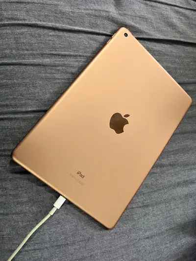 Apple iPad is in perfect condition, works great