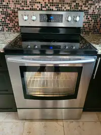 Samsung Stainless Convection Oven Range