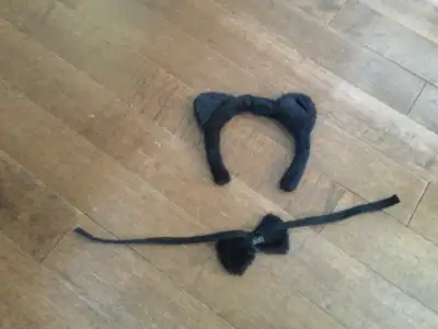Cat headband and bow tie, View more