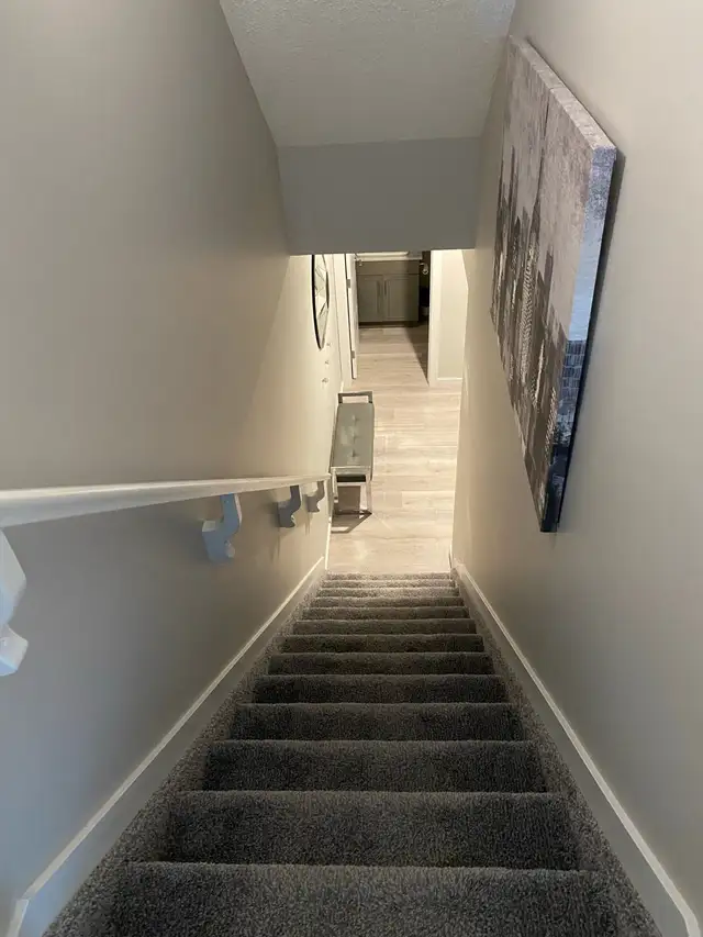 Fully Furnished 1-Bedroom Basement Suite – Private Entrance
