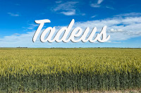 Tadeus Winter Triticale - Certified Seed