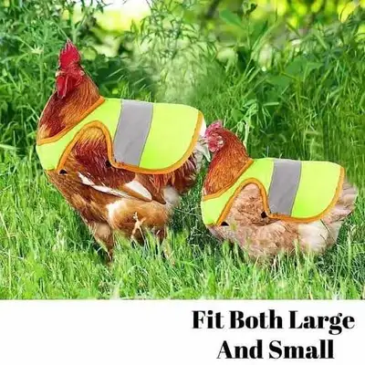 visibility vests, View more