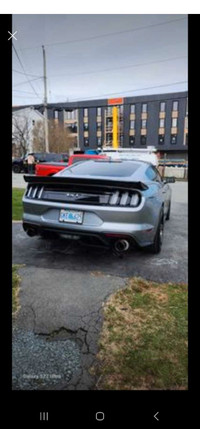 Mustang euro tail lights and carbon tail 