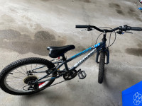 Miele mountain Bike 20” wheel