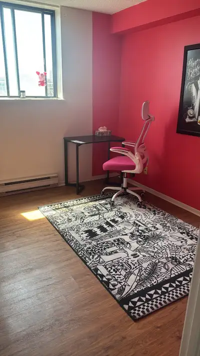 Spacious apartment looking for worker or student responsible female roommate. Balcony an rooftop ava...