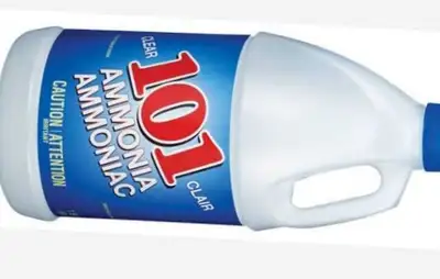 I am 51 yr old male seeking a room to rent easy going long term rent can be forwarded straight from...