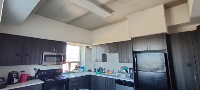 1 Bed/1 bath penthouse room near WLU in Room Rentals & Roommates in Kitchener / Waterloo - Image 8