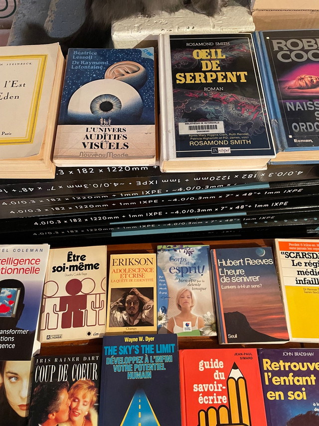 Lots de livres à vendre dans Autre  à Shawinigan - Image 4