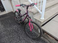 Mountain bike almost new but stored $40