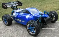 New RC Buggy /Car Brushless Electric, LIPO 1/10 Scale 4WD RTR