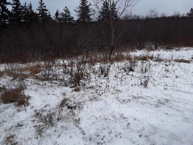 Building lot forsale Antigonish county in Land for Sale in New Glasgow