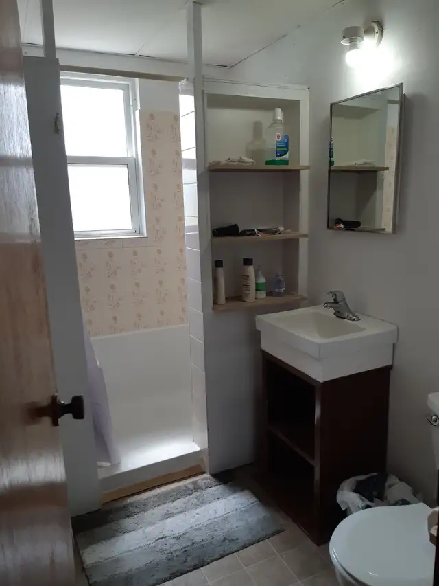 Two bedroom apartment walking distance to Queen's and SLC in Long Term Rentals in Kingston - Image 5