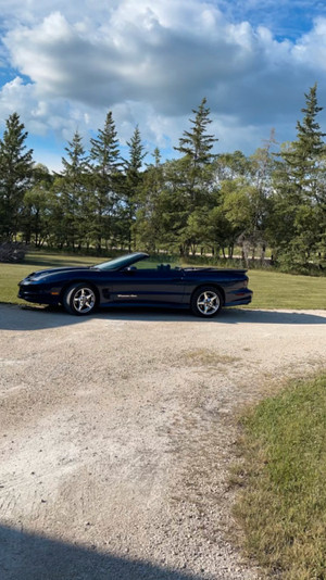 2002 Pontiac Firebird