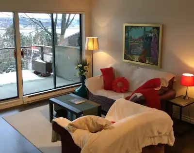 Logement style loft tout inclus 100% meublé. Disponible au début mai. Très éclairé par sept pans de...