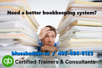 One-on-One QuickBooks / Bookkeeping Training and Consulting