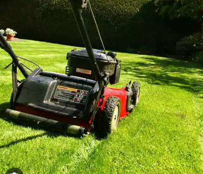 Landscape maintenance lead, View more