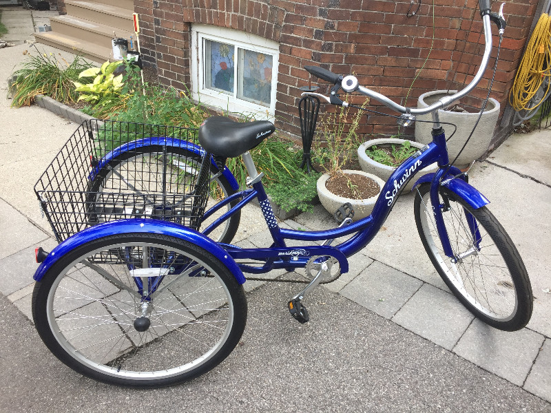 schwinn meridian adult