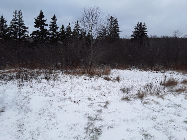 Building lot forsale Antigonish county in Land for Sale in New Glasgow - Image 2