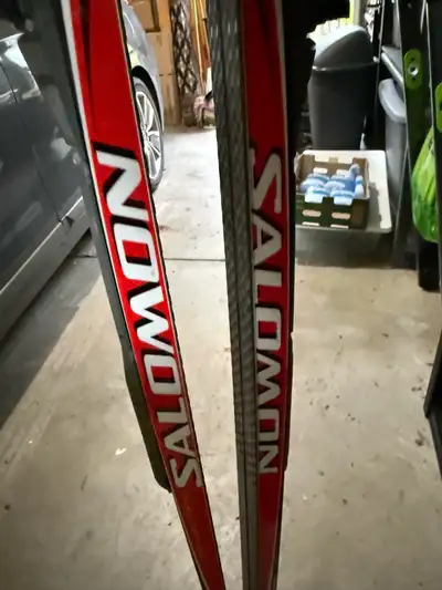 Salomon Snowscape Skis, View more