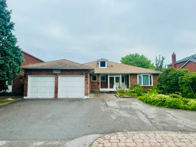 Spacious Two Bedroom + 1 Washroom Basement