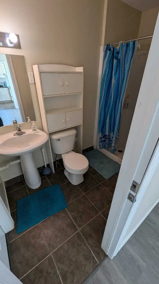 HUGE 17 Foot Long Bedrooms !! Walk to Laurier! in Room Rentals & Roommates in Kitchener / Waterloo - Image 8