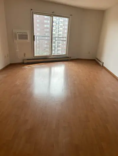 Spacious Penthouse For Rent