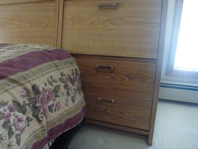 Three piece Bedroom  Suite in Dressers & Wardrobes in Prince George - Image 3