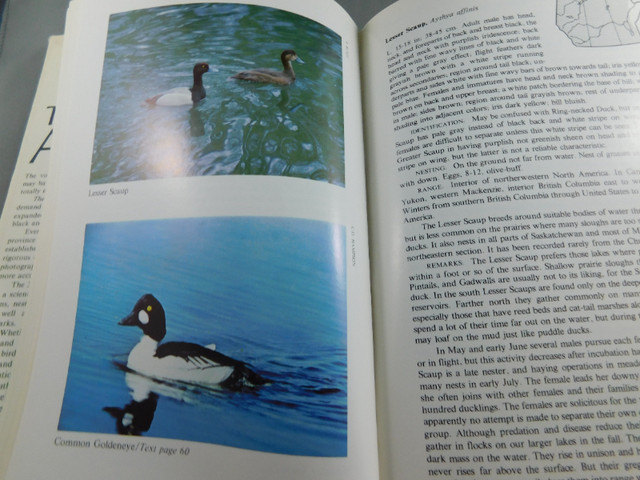 The Birds of Alberta by W Ray Salt/Jim R Salt HC Book in Non-fiction in Lethbridge - Image 2