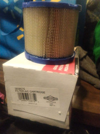 Briggs and Stratton air filters 