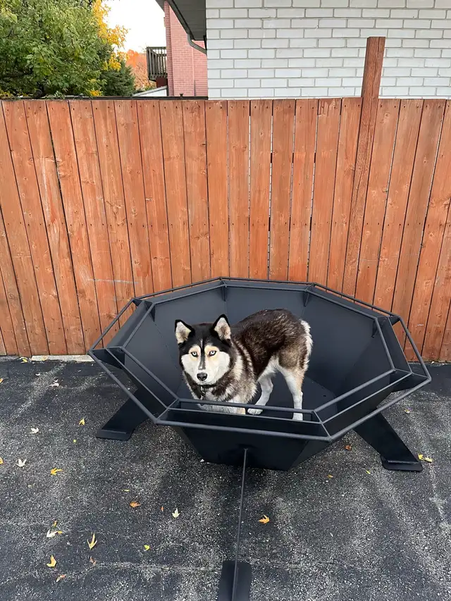 Octagon Fire Pit590084647976980485