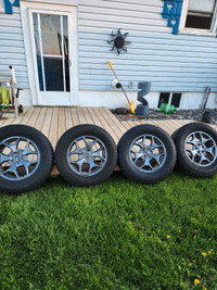 Ford Bronco Sport wheels and tires