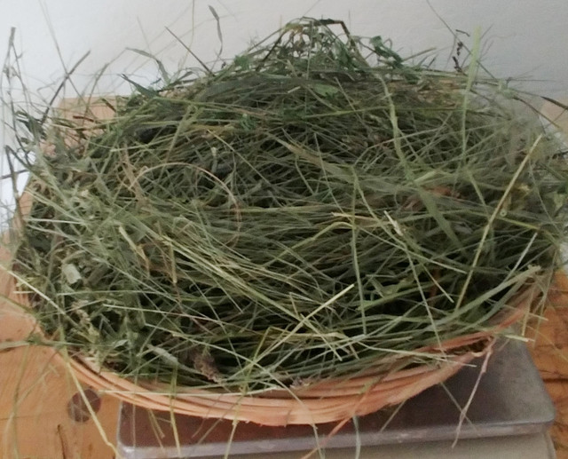 Premium Hay for Rabbits and other Herbivorous Pets in Livestock in Saskatoon