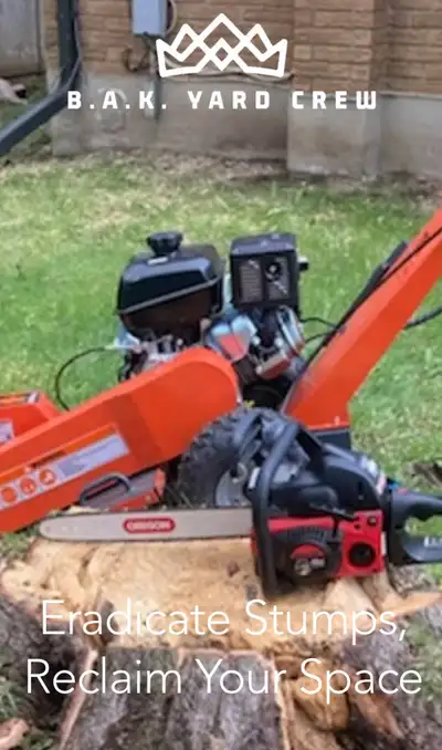STUMP GRINDING, View more