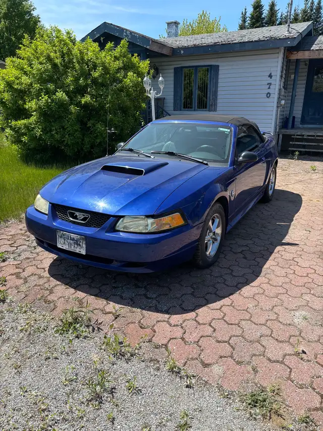 Ford mustang 2004 in Cars & Trucks in Drummondville - Image 2
