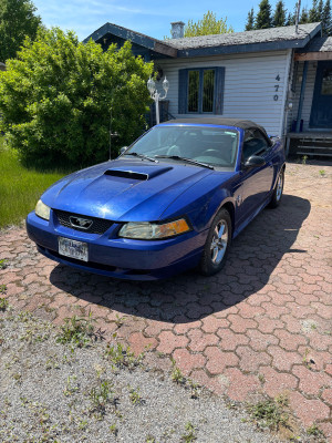 2004 Ford Mustang
