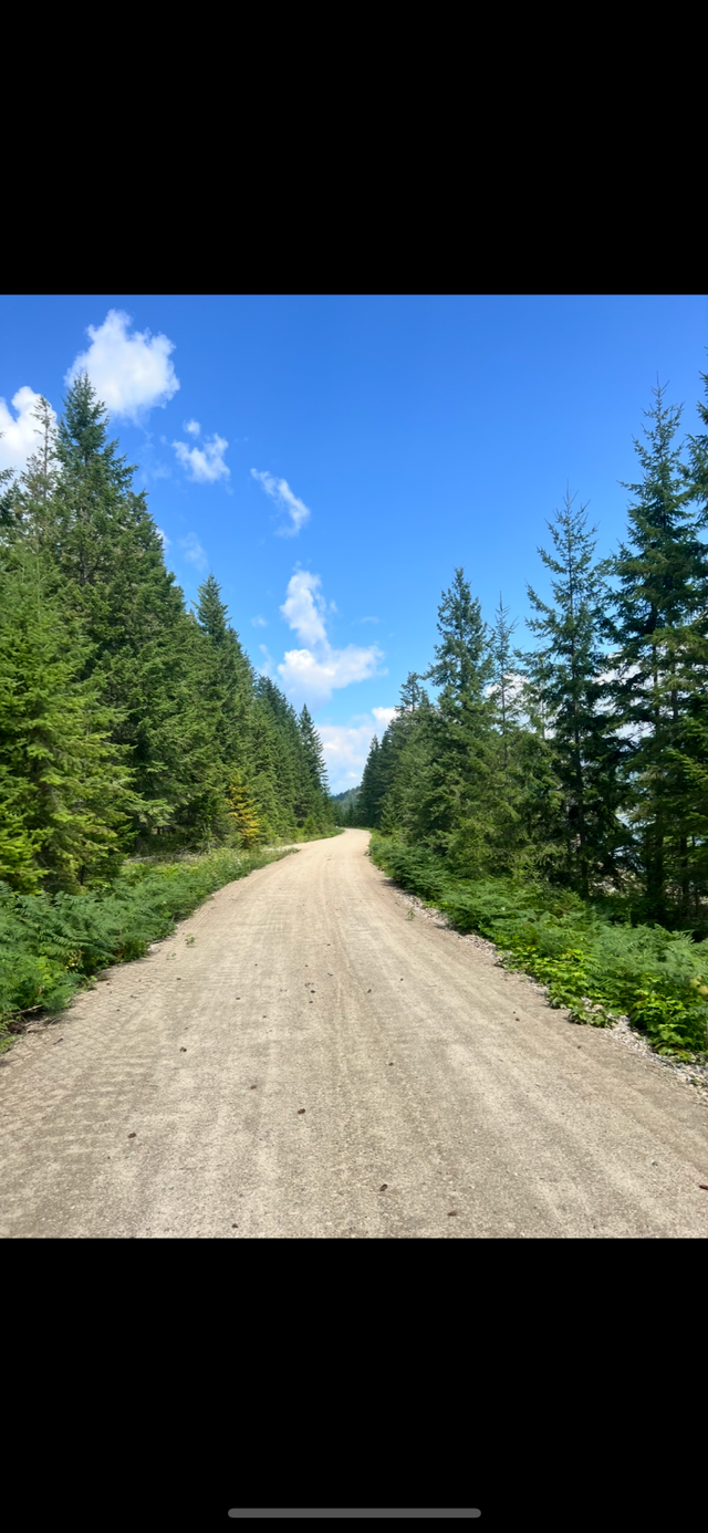 Shuswap River/North Okanagan Vacation Cottage in British Columbia in Canada - Image 11