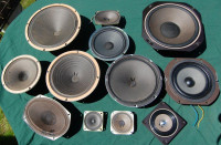 12" and 10" and other Speakers Lot