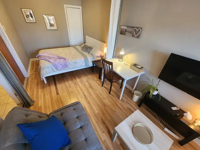 1 350$ Studio Métro Ligne Bleu.