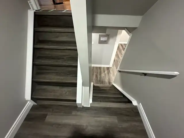 Professional Floorong Installation64645238010241123