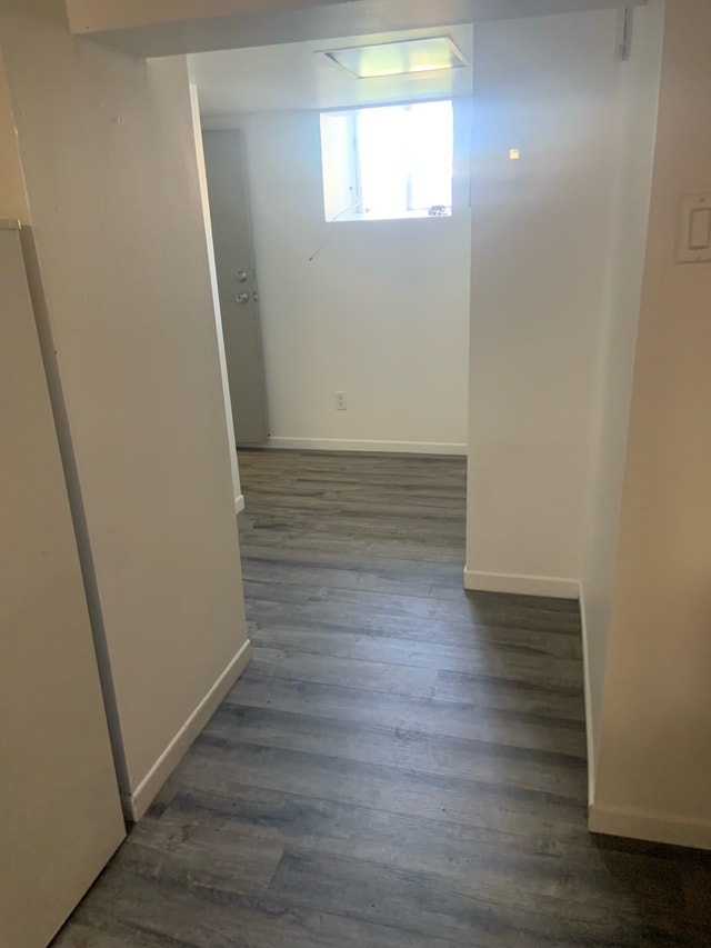 320 Rue Notre Dame — photo 3