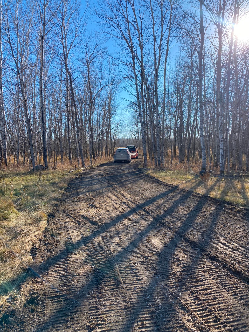 Leave the City Behind-Remodeled Log Home on 160 Acres Ross MB 3