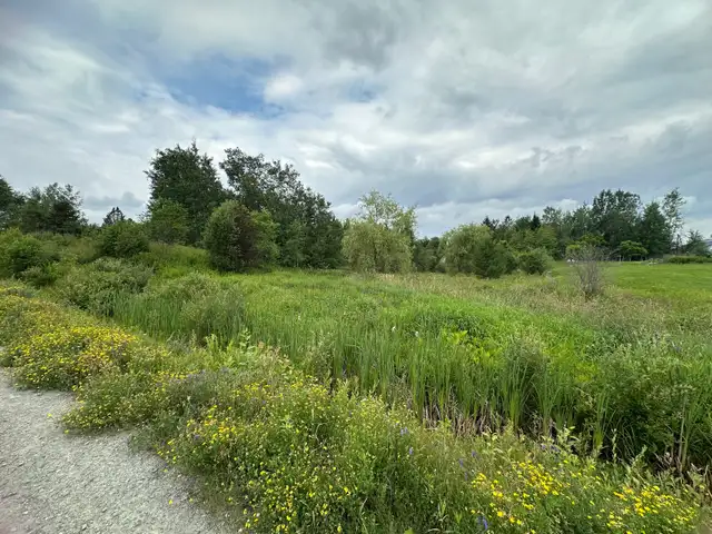 Terrain à vendre à Stoke in Land for Sale in Sherbrooke - Image 7